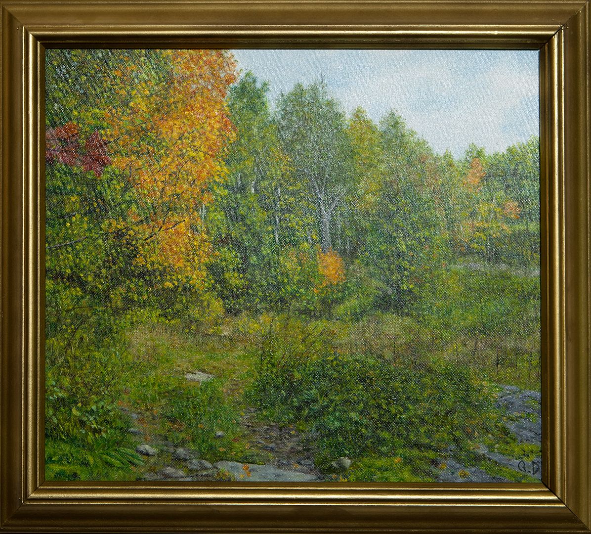 A clearing at the edge of a mixed forest, with one maple turned bright orange among green birches and shrubs, and rocks in the foreground.