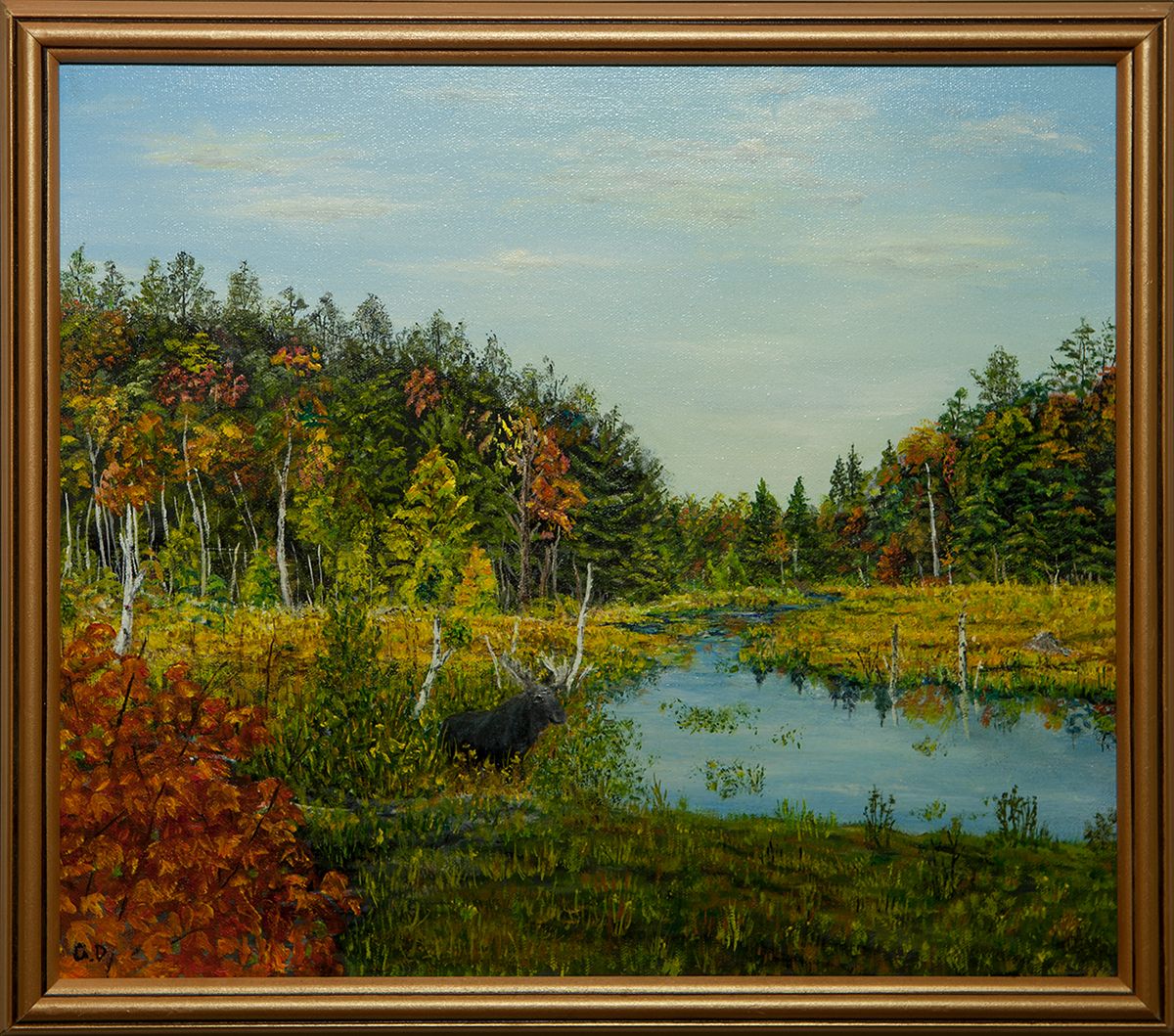 A moose standing among reeds at the edge of a small pond in an autumn forest of red, orange and green trees.