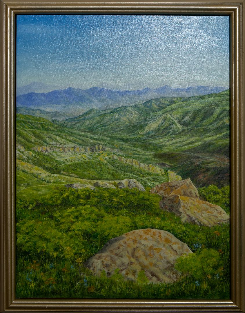 A view from a grassy hillside with lichen-covered boulders down into a deep green valley, with blue mountain ranges in the distance.